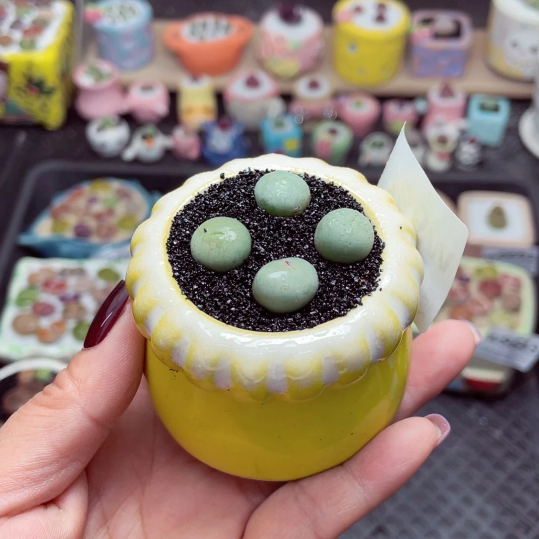 w9647 带盆土发货-零下地区拍保温箱