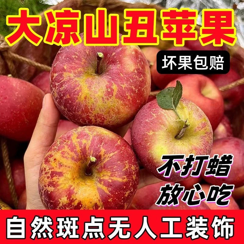 【助力乡村振兴】大凉山丑苹果四川丑苹果脆甜冰糖心当季水果4.5斤