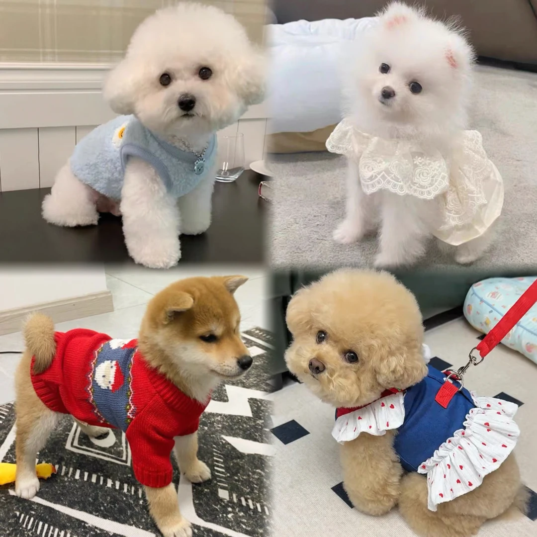 博美比熊泰迪柴犬衣服