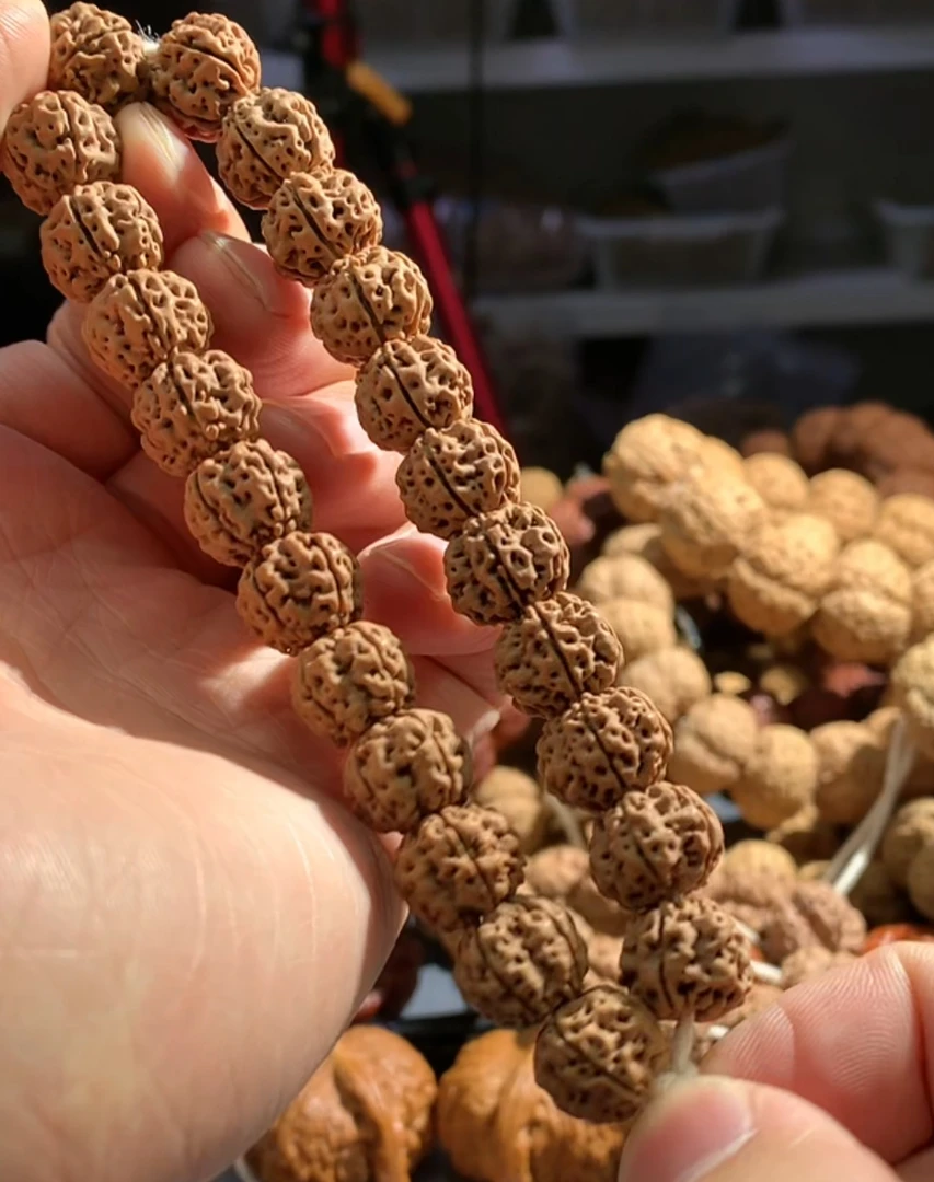 「龙骨梅花」小金刚菩提籽方墩梅花