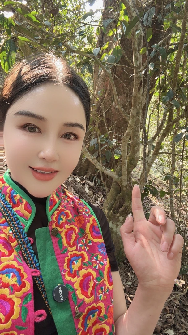 易武薄荷塘500单株100g/孔雀饼普洱茶生茶 【马拉菲尔茶厂】