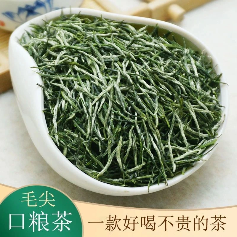 2025年毛尖炒青绿茶