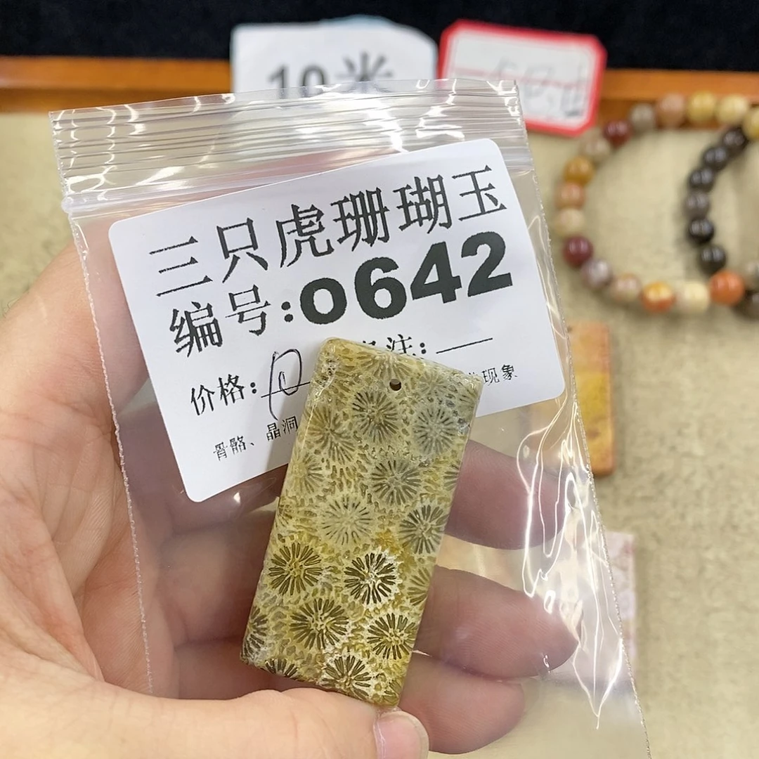 硅化珊瑚（珊瑚玉）1未镶嵌健**宁