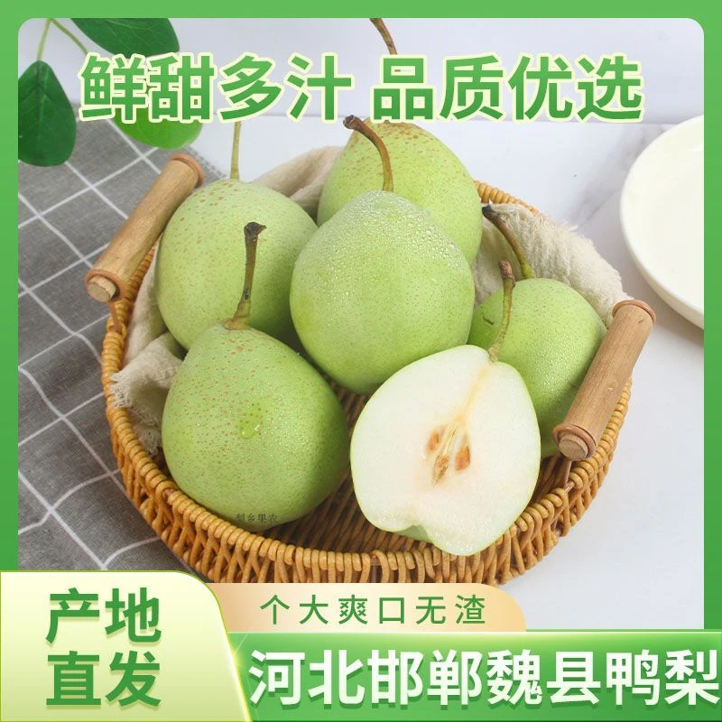 正宗鸭梨青皮梨脆甜无渣多汁新鲜水果梨甘甜爽口应季水果坏果包赔