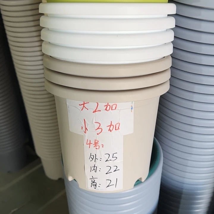 四季4#口径25果绿10个无托
