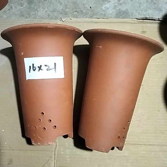 紫砂小红兰花两个