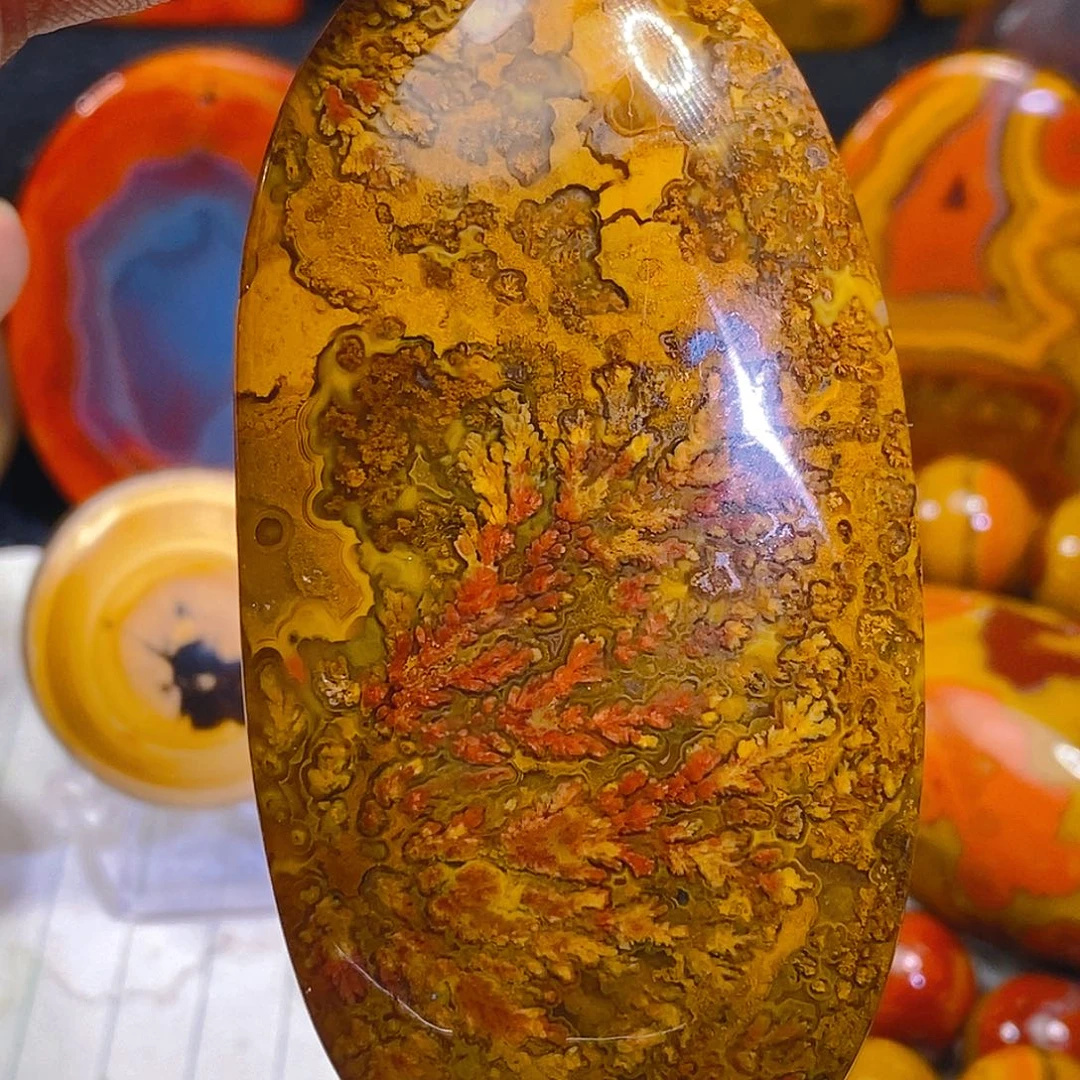 未镶嵌天然精品战国红玛瑙玛瑙/玉髓