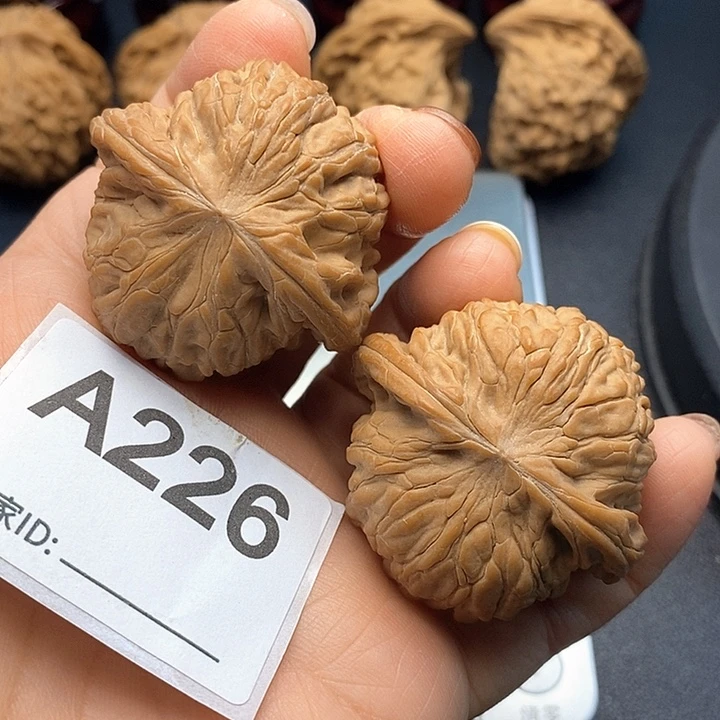 核桃磨盘4.2正磨，山地果子