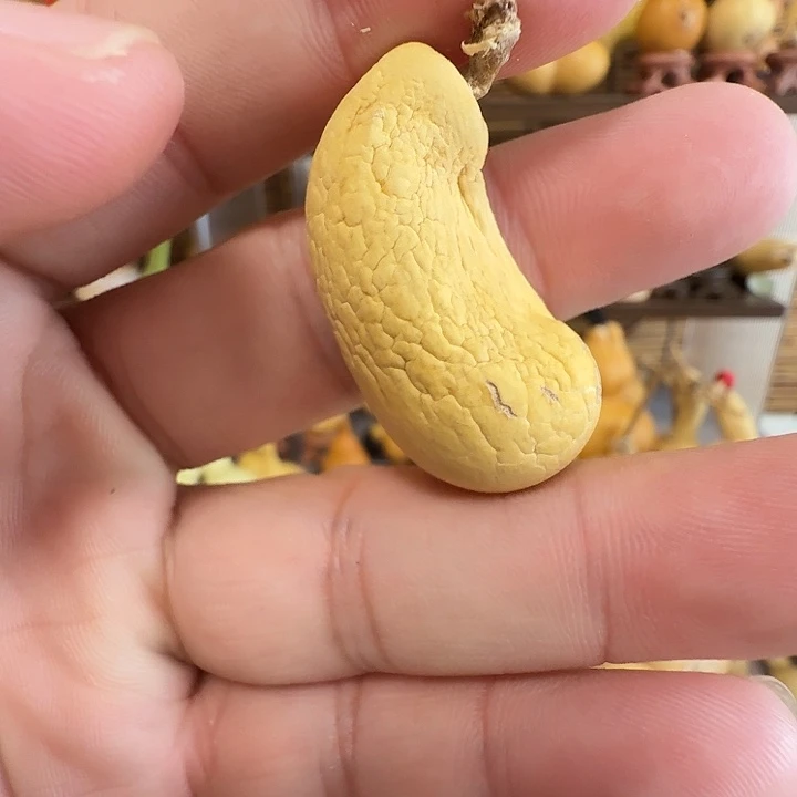 丁***泽腰果抽葫芦闪拍链接
