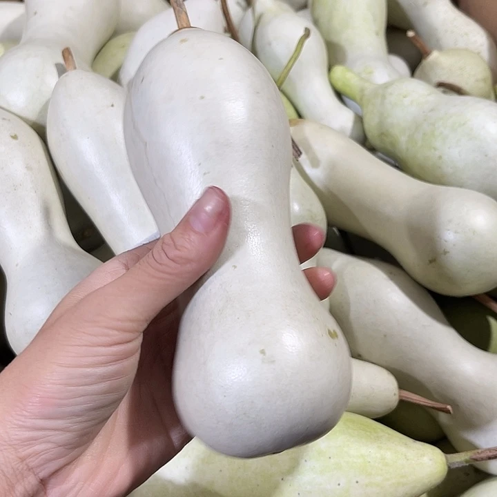 大果紫檀（缅甸花梨）章*哥