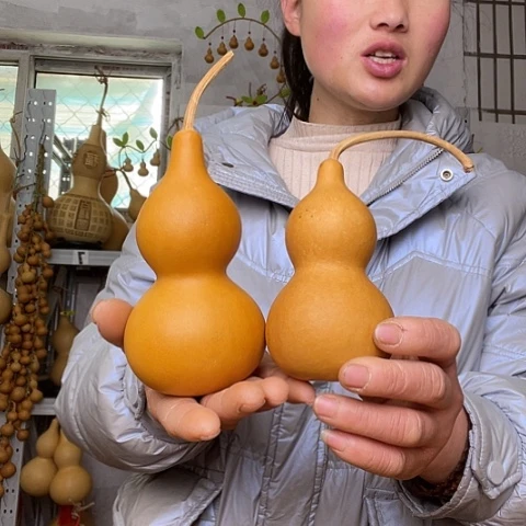 J**c天然植物葫芦文玩