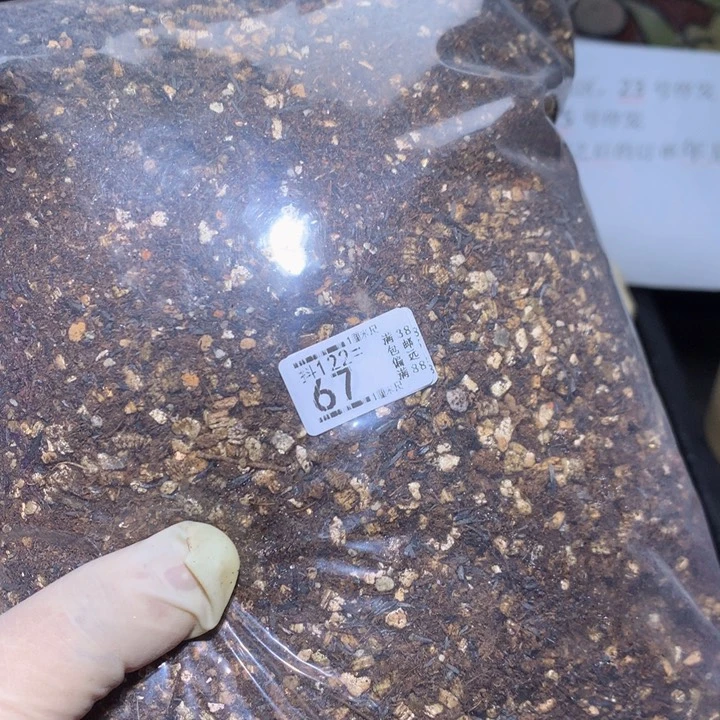 精品生石花122.67