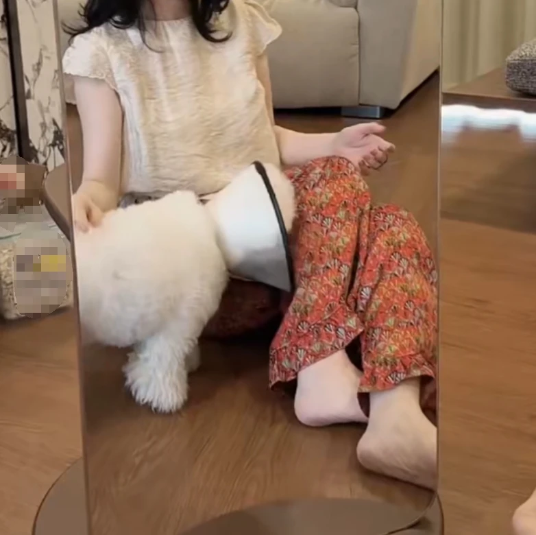 时尚潮流百搭精品女装zsx40486