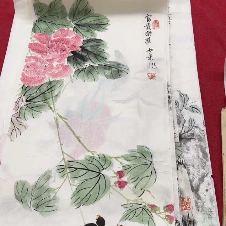 国画花鸟的翅膀和翅膀是