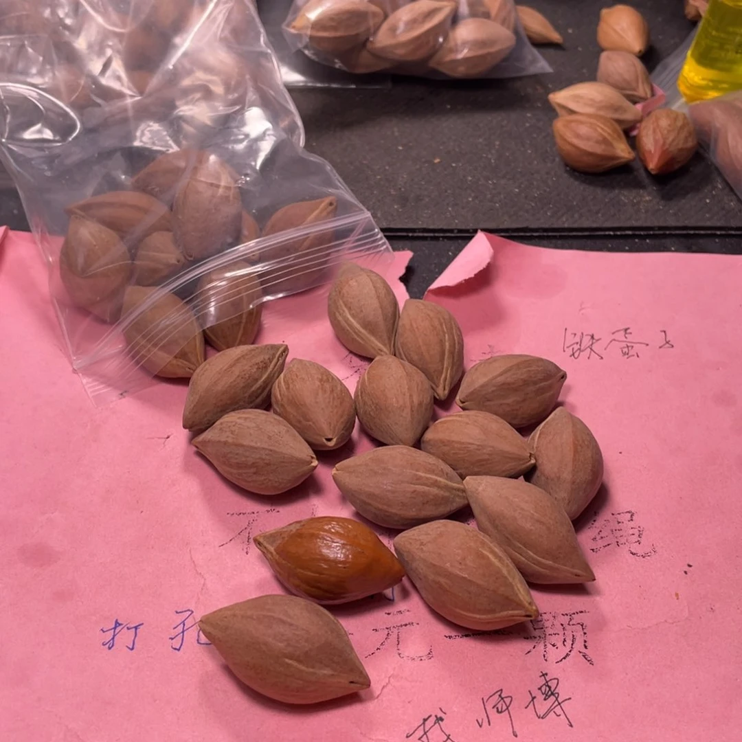 闭***界qe er t y uii o