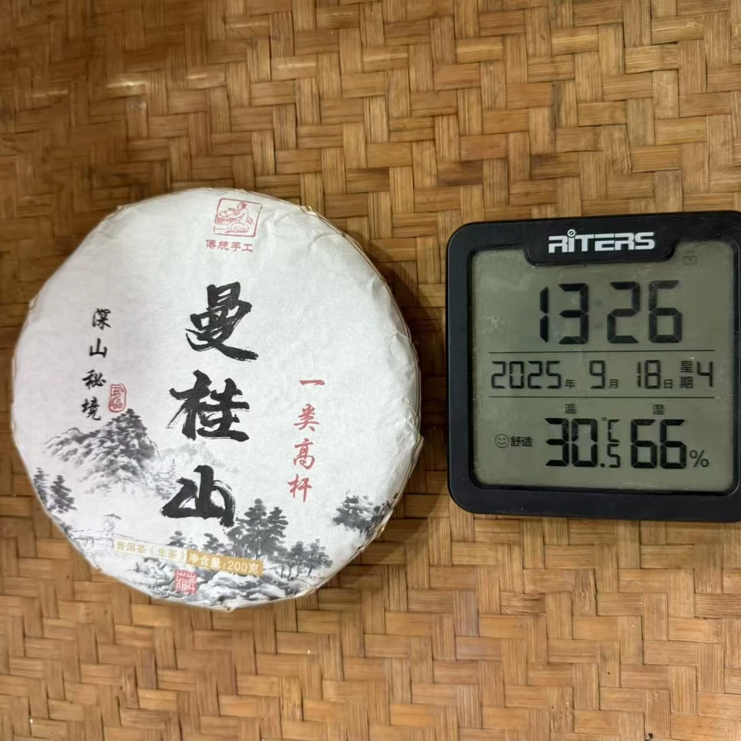 2025年曼桂山深山一类高杆挑采普洱生茶饼200克MC12号9月18日