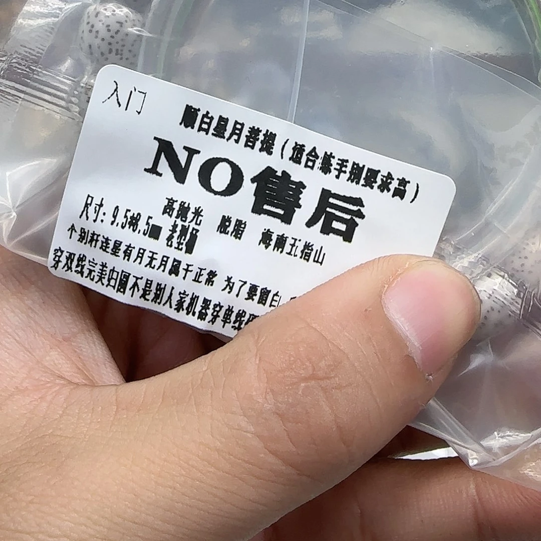 手串星月菩提14顺白星月菩提单圈9.5左右