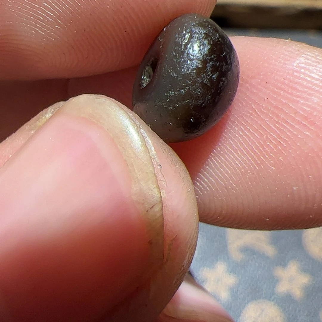 香榧木在这样的日子