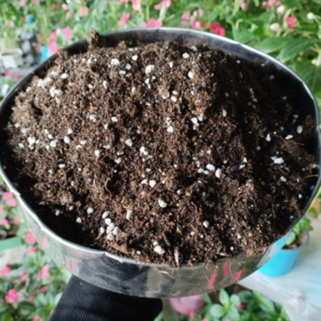 保平自配花土阳台花卉通用配方土