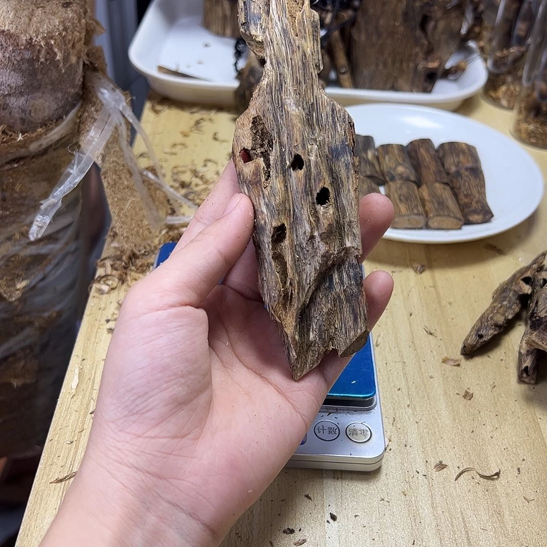 木绿奇楠虫漏23克