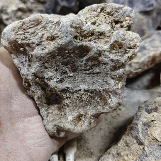 W***x玛瑙/玉髓未镶嵌原石