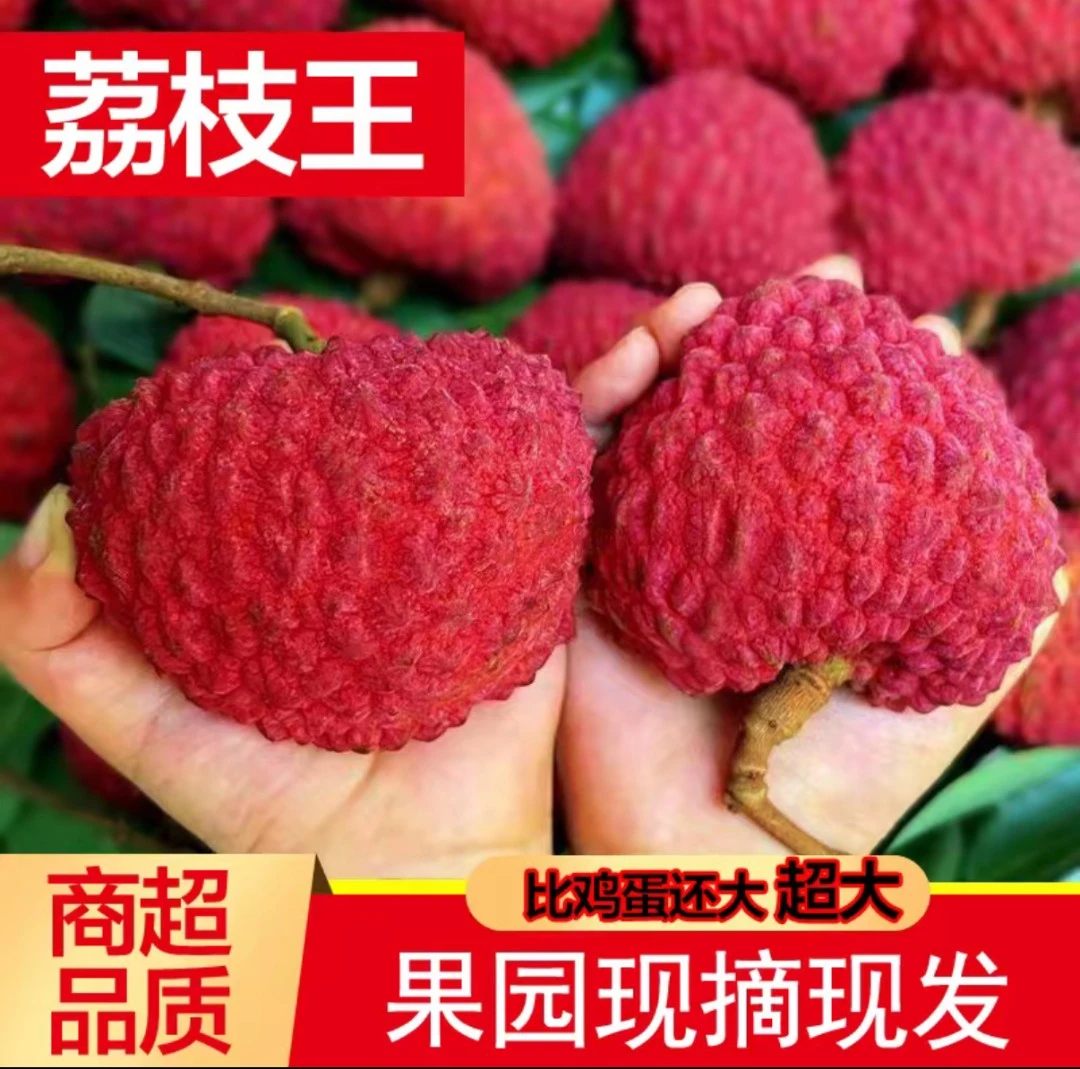正宗海南永兴火山岩荔枝王巨无霸现摘现发顺丰直达
