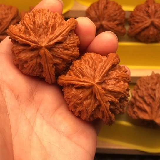 丶***5核桃核桃核桃核桃