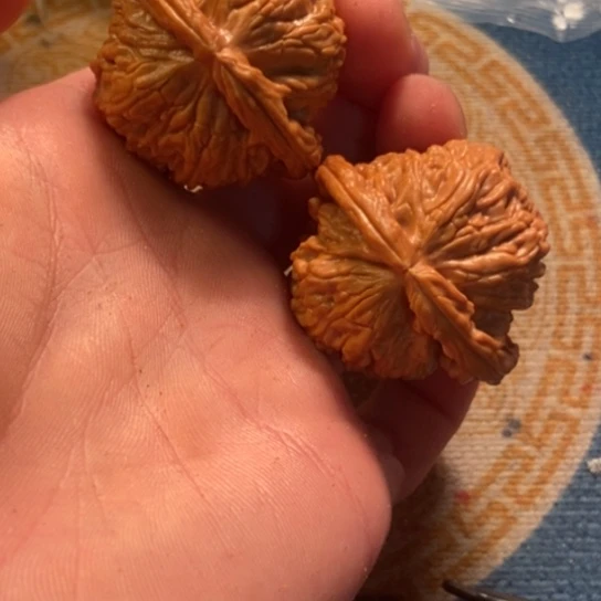 吊坠桃核全品白狮子42