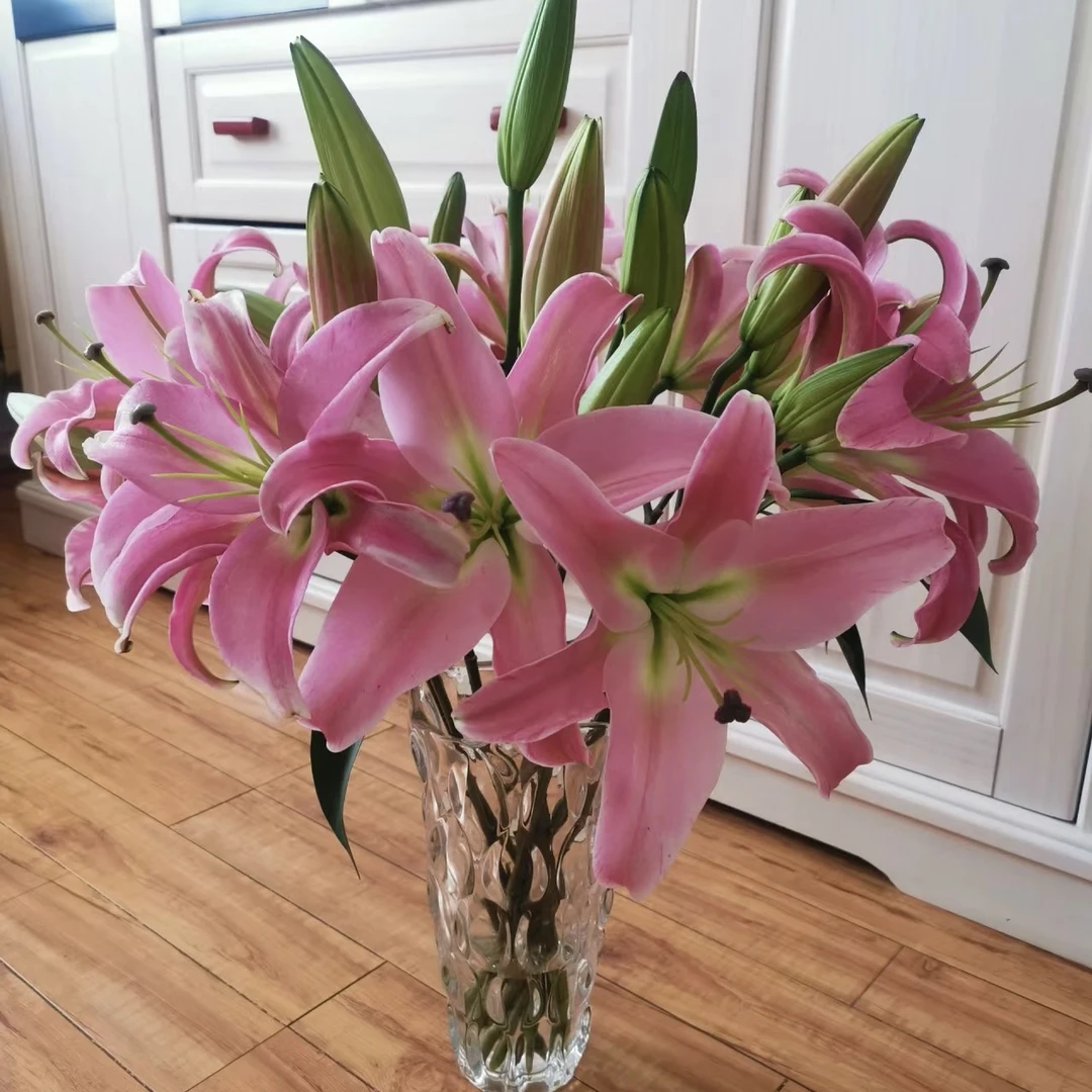 【普拉芬多AK】粉色香水百合 | 全场任意满鲜花两单包邮