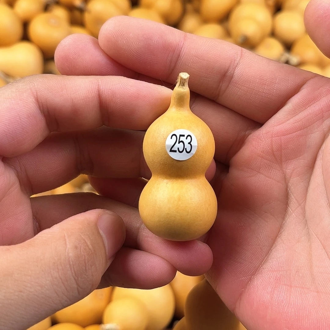 二葫芦葫芦葫芦葫芦253