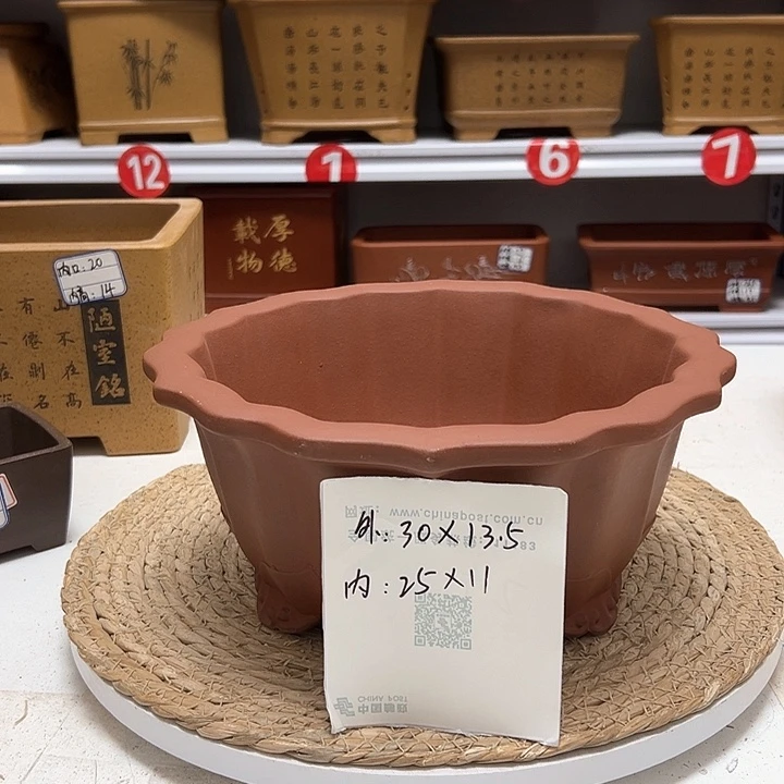 紫砂花盆蛇年大吉