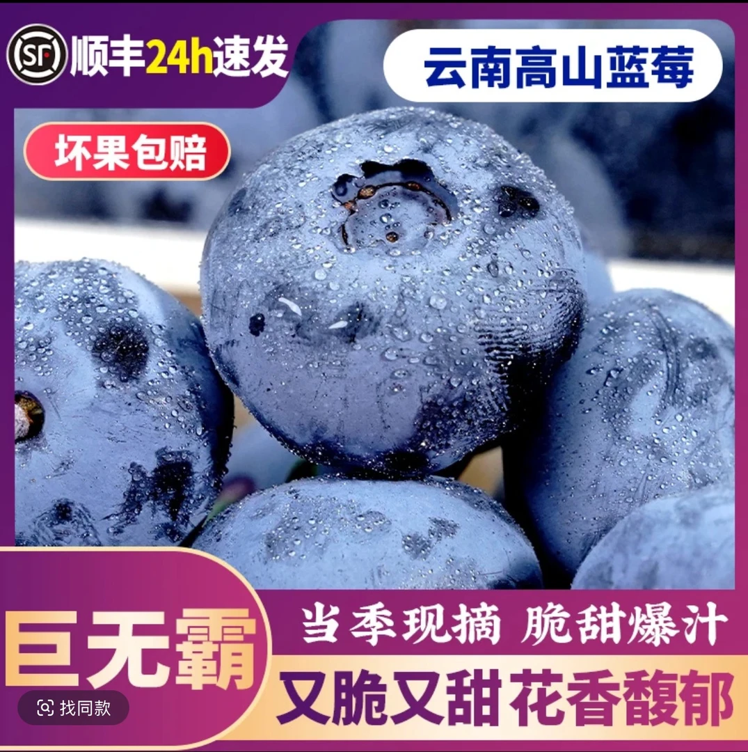 【顺丰】云南现摘蓝莓鲜果当季新鲜水果孕妇蓝梅高山甜莓大果