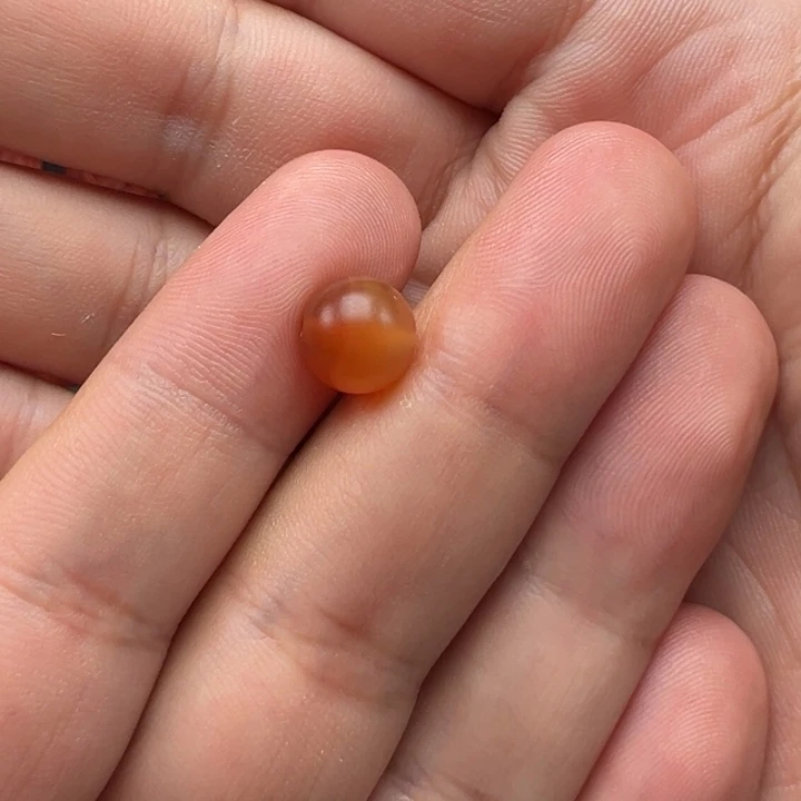 ****雨南红玛瑙未镶嵌珠子
