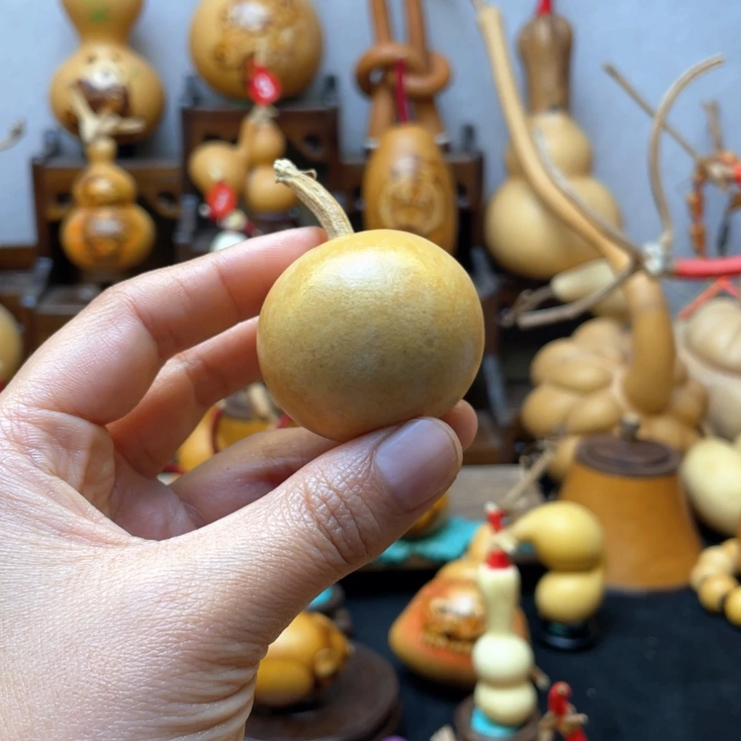 我**…大自然的秘密第十节第二十一