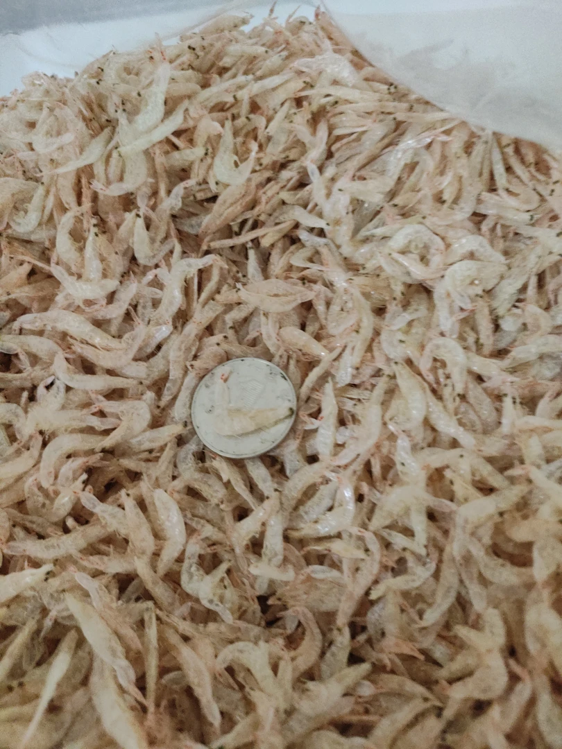 汕尾马宫本港野生淡晒梅虾干虾皮虾苗干