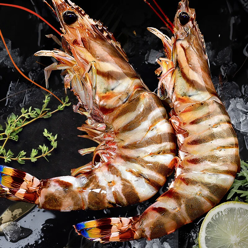 海捕野生竹节虾九节虾，新鲜活冻船冻，每斤约16条，2斤装  无冰衣