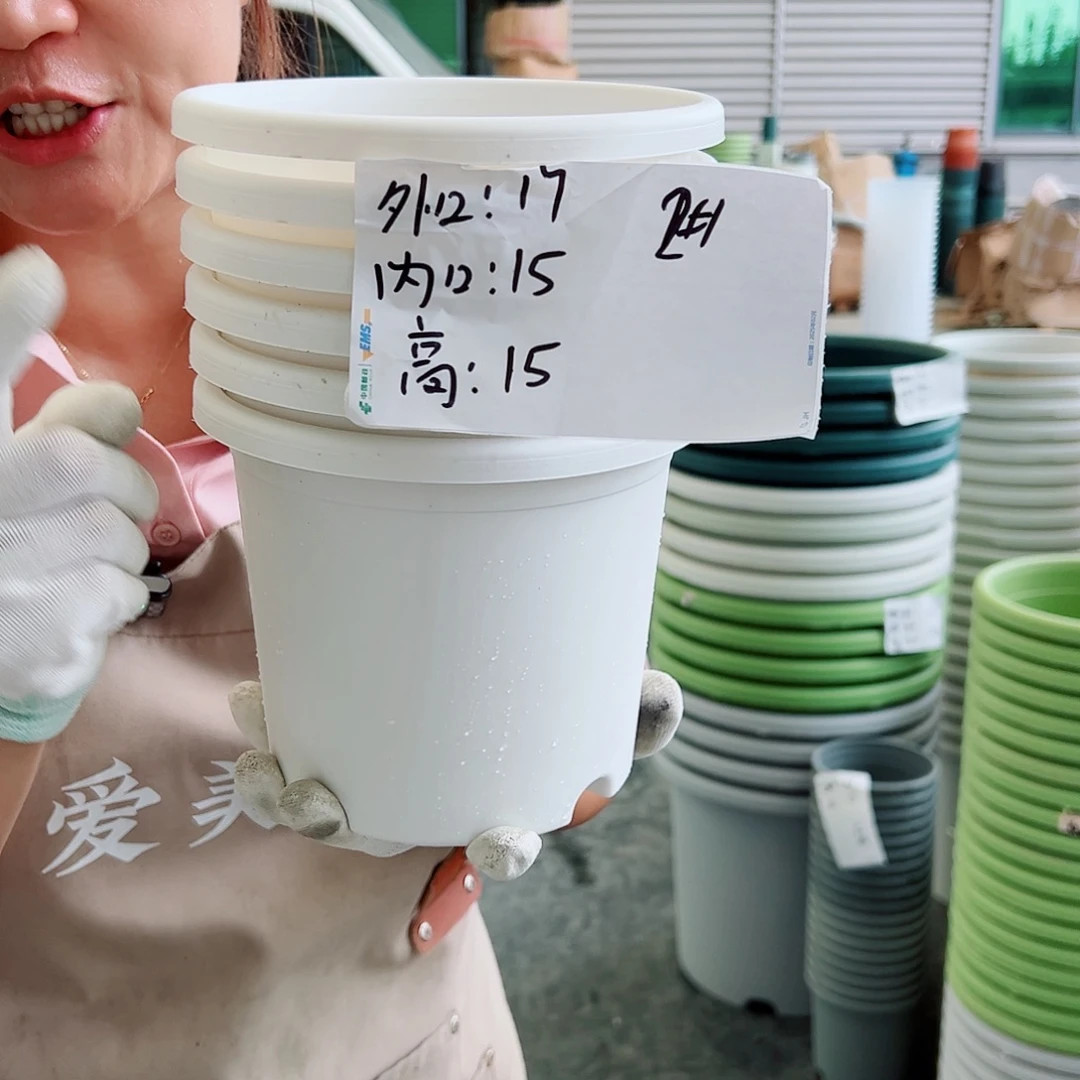 四季盆2#白色10个无托