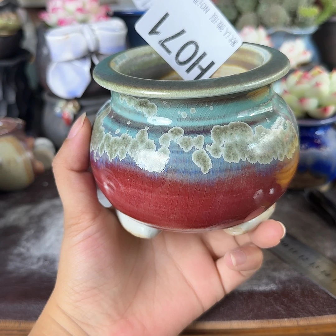 重庆小燕子欢迎大家071