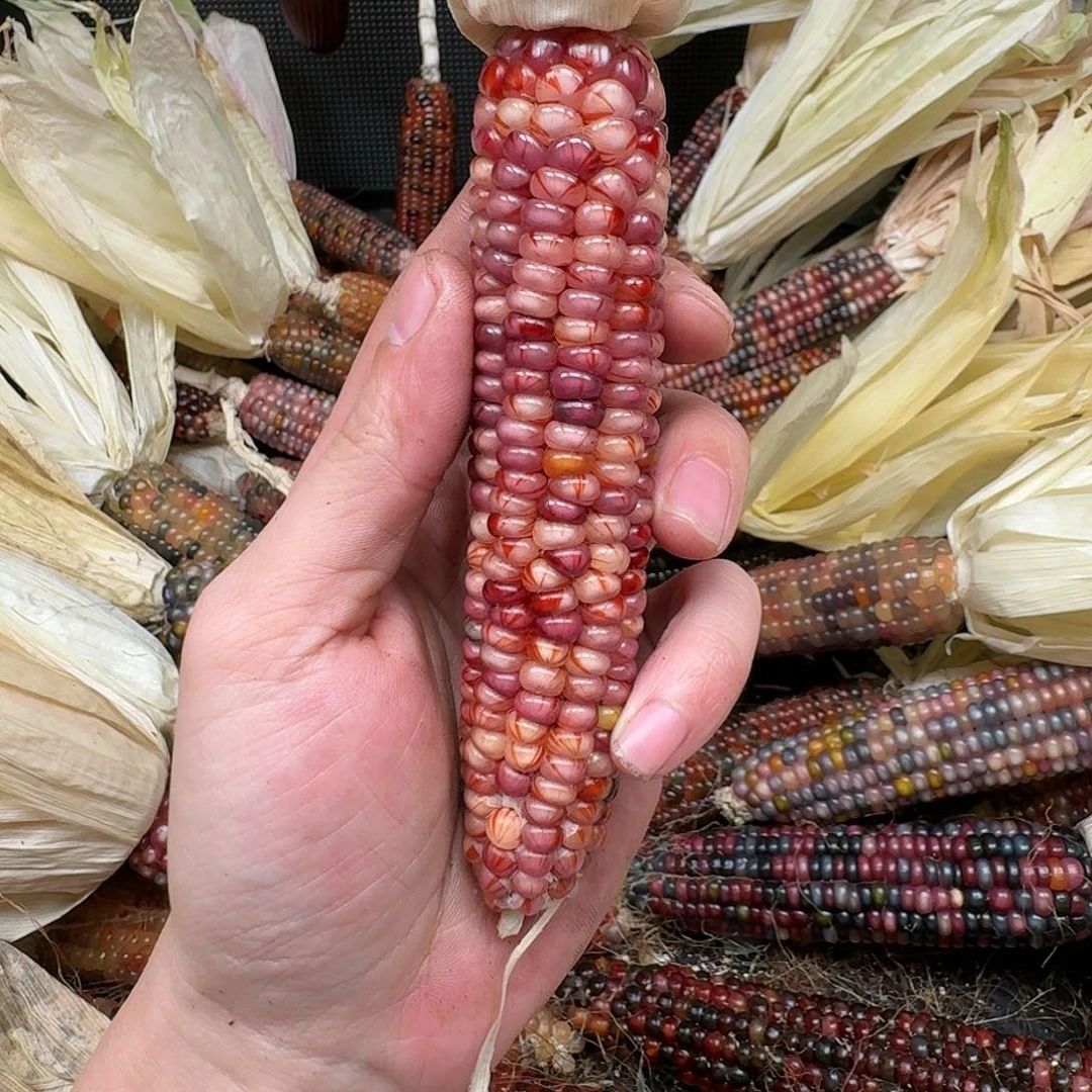 柏香籽/百香籽吊坠S****?