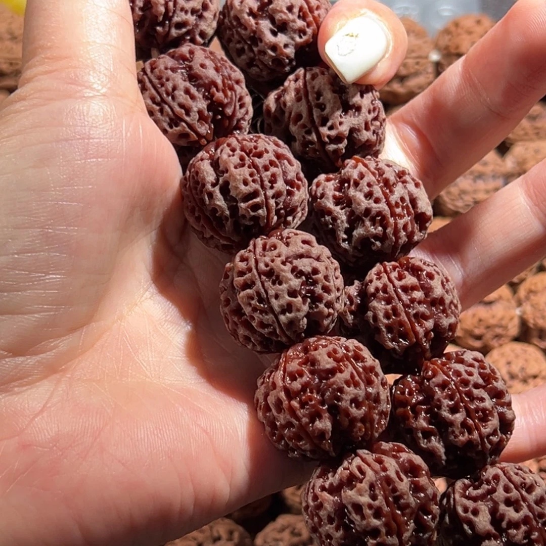 一***手串金刚菩提五面十龙