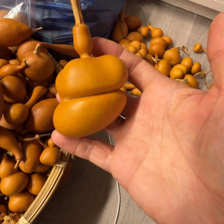 鑫***悦新月的一把钱袋子，葫芦把钱袋的葫芦