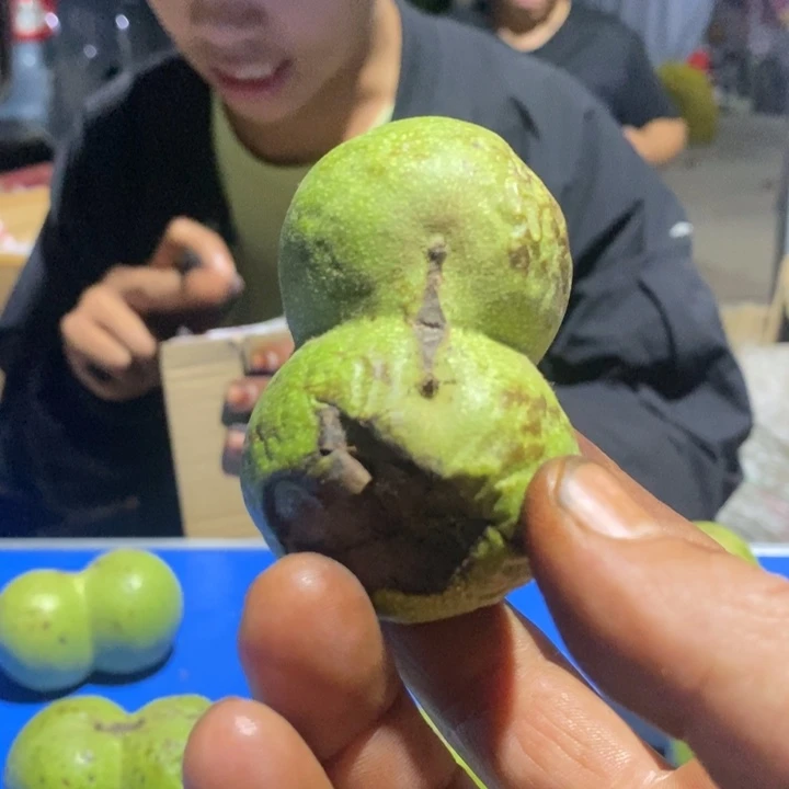 吊坠文玩核桃刘****）