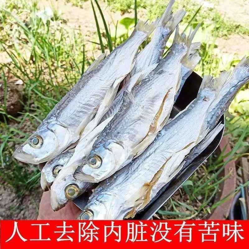 （剑拉离专属）大鱼翘嘴鱼自然风干农家自晒