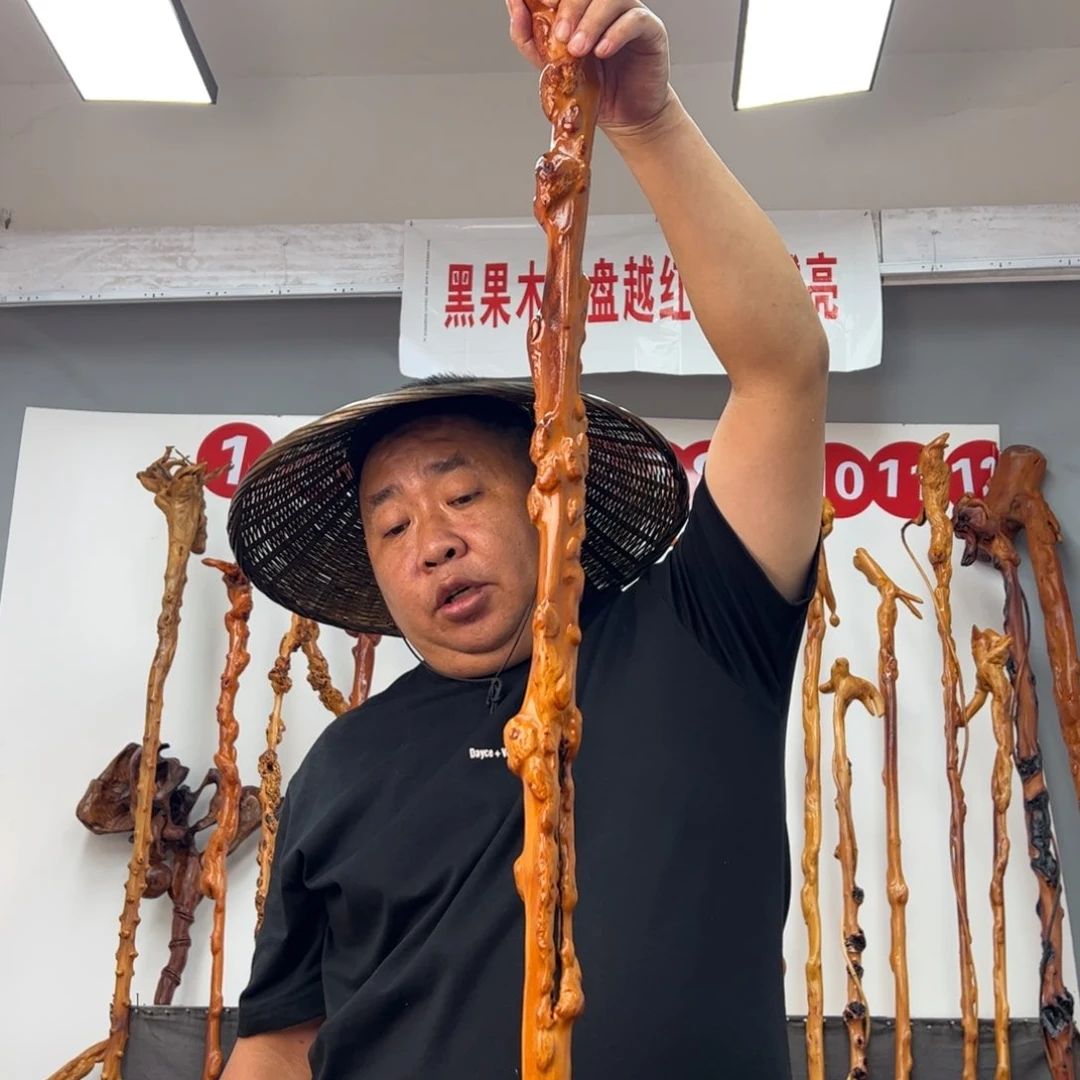 响***马黑果木其他黑果木260