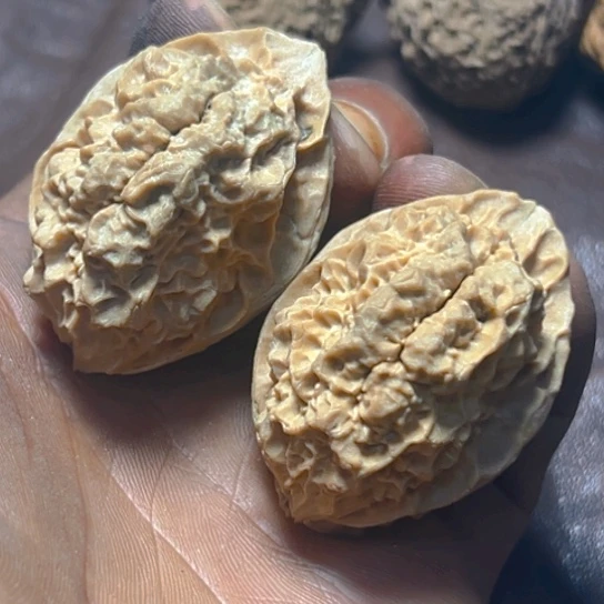 把件文玩核桃卡40刑天刺龙36号