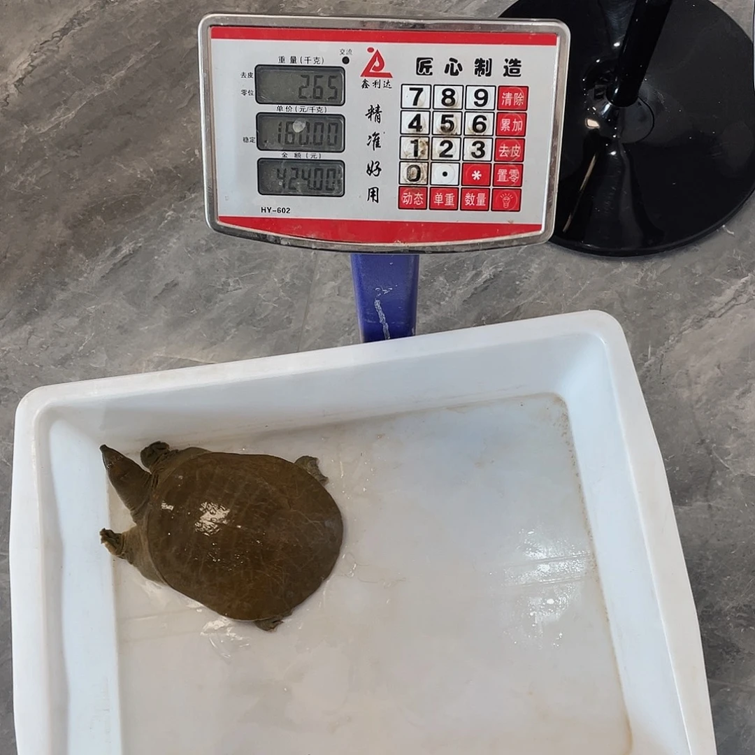 中国大陆567536886