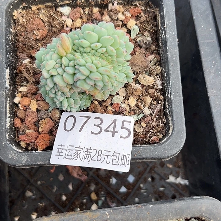 幸运的是你还没遇到