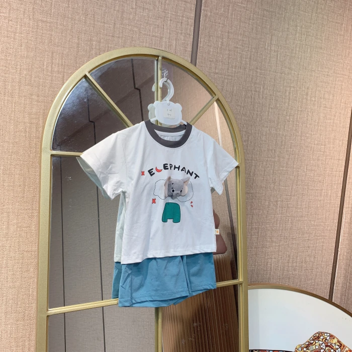 B419     宝宝短袖短裤套装   夏季