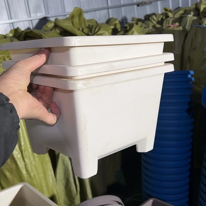 微瑕米白方球根26外径19高3个盆