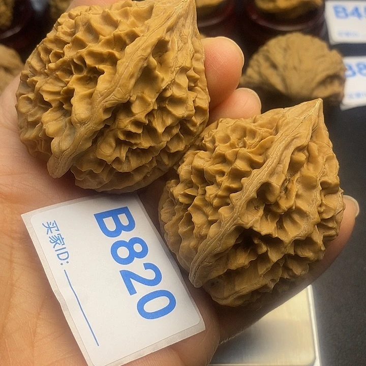 核桃老鼠4.2高56克重62